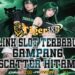 TIGERBET388 Platform Slot Online Aman Dan Anti Blokir